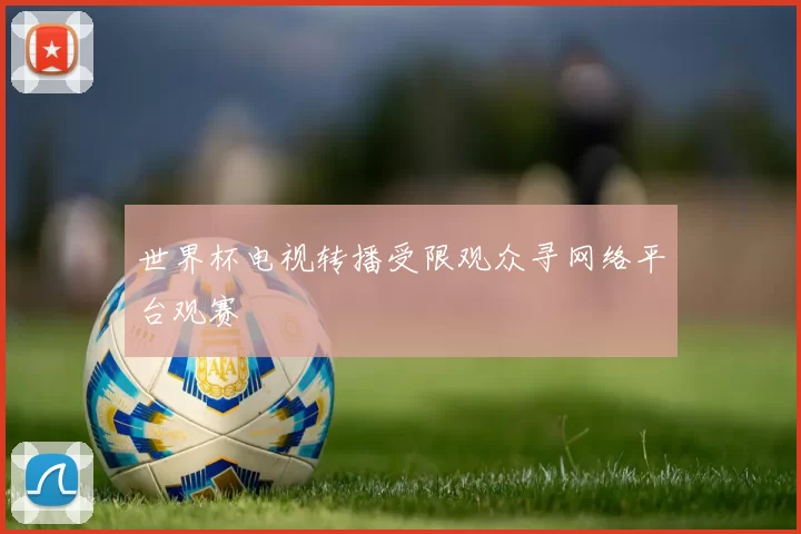 世界杯电视转播受限观众寻网络平台观赛