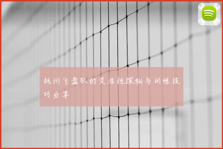 杭州飞盘队的灵活性探秘与训练技巧分享
