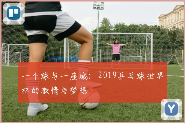 一个球与一座城：2019乒乓球世界杯的激情与梦想