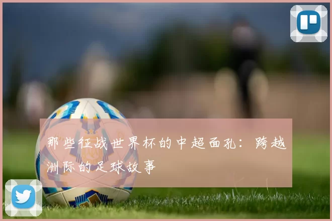 那些征战世界杯的中超面孔：跨越洲际的足球故事