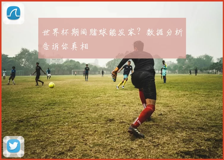 世界杯期间赌球能发家？数据分析告诉你真相