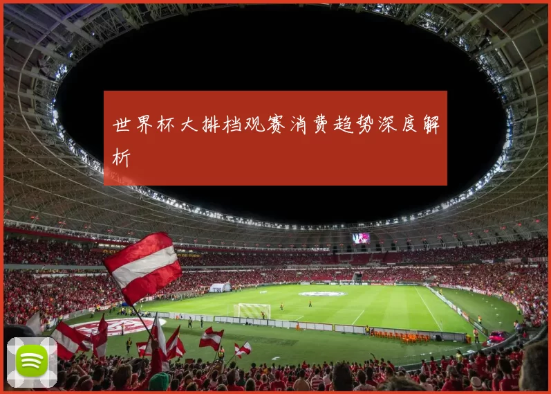 世界杯大排档观赛消费趋势深度解析