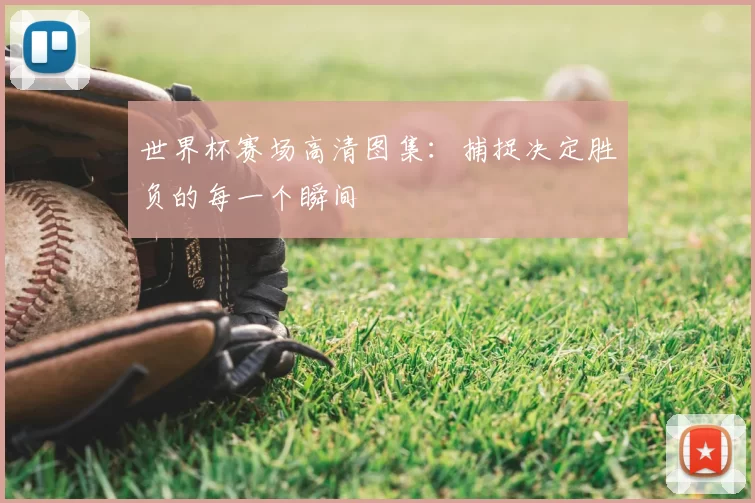 世界杯赛场高清图集：捕捉决定胜负的每一个瞬间