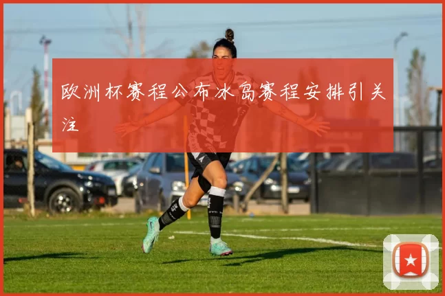 欧洲杯赛程公布冰岛赛程安排引关注