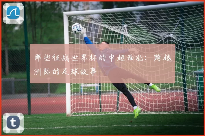 那些征战世界杯的中超面孔:跨越洲际的足球故事