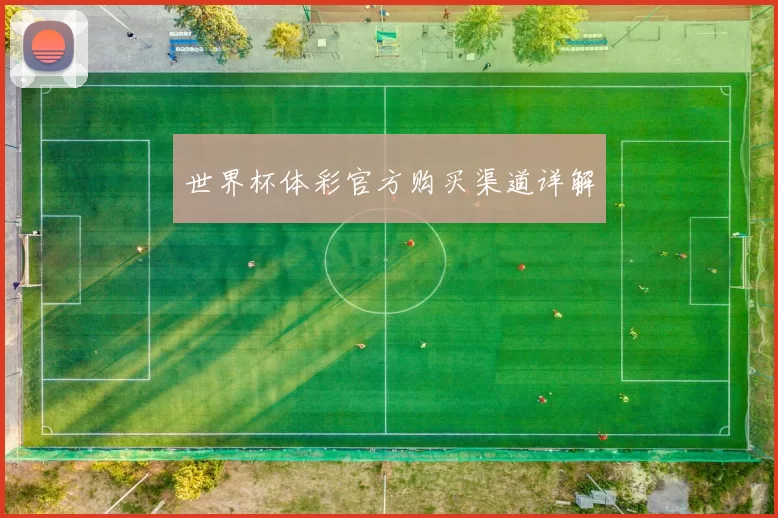 世界杯体彩官方购买渠道详解