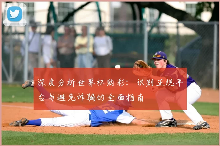 深度分析世界杯购彩:识别正规平台与避免诈骗的全面指南