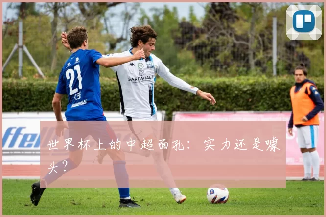 世界杯上的中超面孔:实力还是噱头?