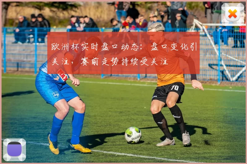 欧洲杯实时盘口动态:盘口变化引关注,赛前走势持续受关注